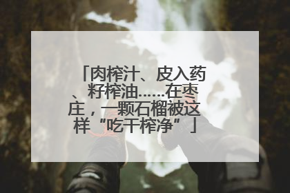 肉榨汁、皮入药、籽榨油……在枣庄，一颗石榴被这样“吃干榨净”