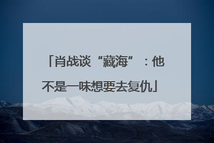 肖战谈“藏海”：他不是一味想要去复仇