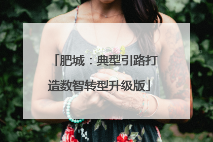 肥城：典型引路打造数智转型升级版