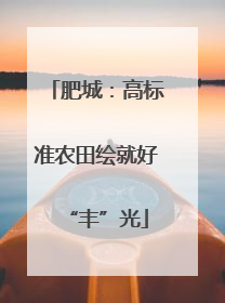 肥城：高标准农田绘就好“丰”光