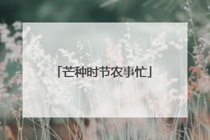 芒种时节农事忙
