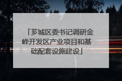 芗城区委书记调研金峰开发区产业项目和基础配套设施建设