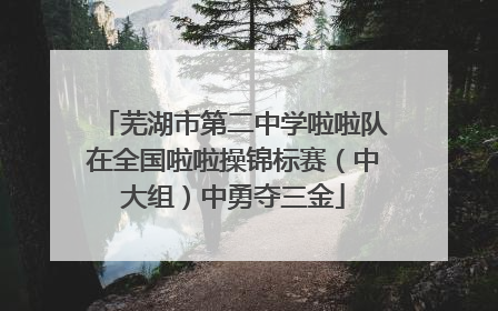 芜湖市第二中学啦啦队在全国啦啦操锦标赛（中大组）中勇夺三金