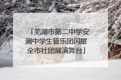 芜湖市第二中学安澜中学生管乐团闪耀全市社团展演舞台
