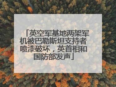英空军基地两架军机被巴勒斯坦支持者喷漆破坏，英首相和国防部发声