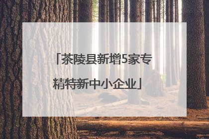 茶陵县新增5家专精特新中小企业