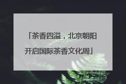 茶香四溢，北京朝阳开启国际茶香文化周