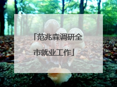 范兆森调研全市就业工作