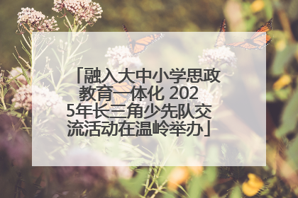融入大中小学思政教育一体化 2025年长三角少先队交流活动在温岭举办