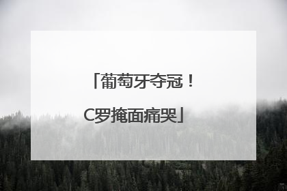葡萄牙夺冠！C罗掩面痛哭