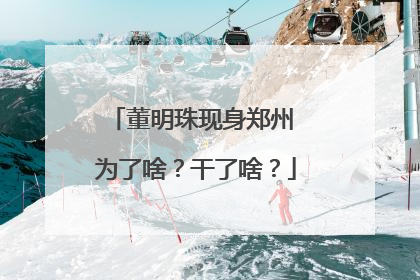 董明珠现身郑州 为了啥？干了啥？