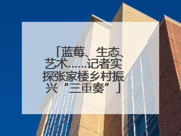 蓝莓、生态、艺术……记者实探张家楼乡村振兴“三重奏”
