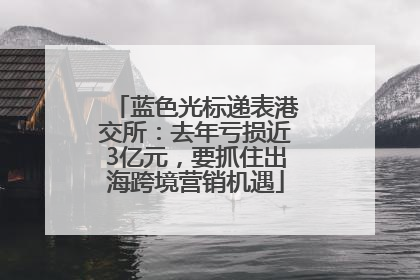 蓝色光标递表港交所：去年亏损近3亿元，要抓住出海跨境营销机遇