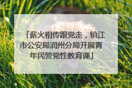 薪火相传跟党走，镇江市公安局润州分局开展青年民警党性教育课