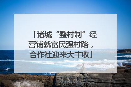诸城“整村制”经营铺就富民强村路，合作社迎来大丰收