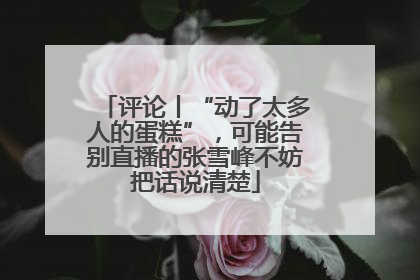 评论丨“动了太多人的蛋糕”，可能告别直播的张雪峰不妨把话说清楚