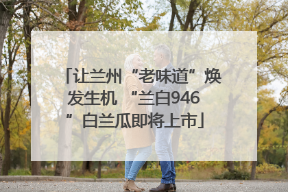 让兰州“老味道”焕发生机 “兰白946”白兰瓜即将上市
