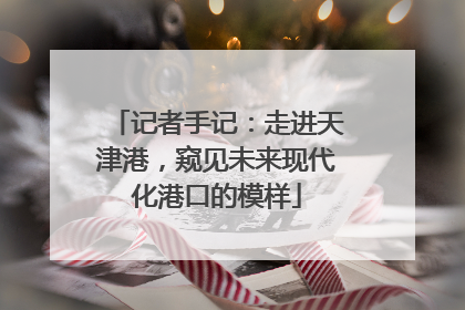 记者手记：走进天津港，窥见未来现代化港口的模样