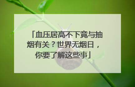 血压居高不下竟与抽烟有关？世界无烟日，你要了解这些事