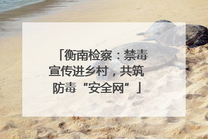 衡南检察：禁毒宣传进乡村，共筑防毒“安全网”