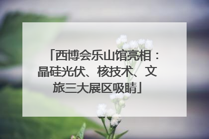 西博会乐山馆亮相：晶硅光伏、核技术、文旅三大展区吸睛