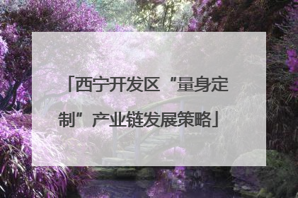 西宁开发区“量身定制”产业链发展策略