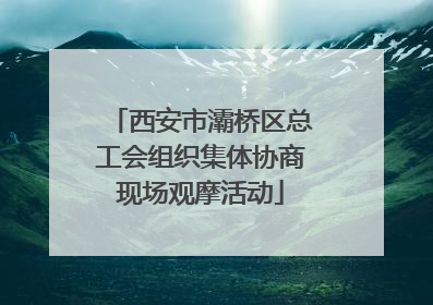 西安市灞桥区总工会组织集体协商现场观摩活动