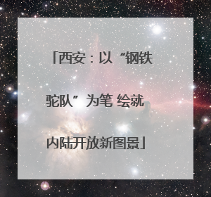 西安：以“钢铁驼队”为笔 绘就内陆开放新图景