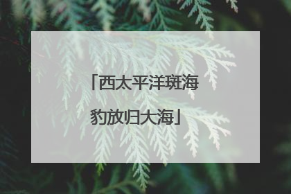西太平洋斑海豹放归大海