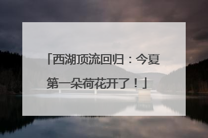 西湖顶流回归：今夏第一朵荷花开了！