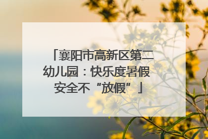 襄阳市高新区第二幼儿园：快乐度暑假 安全不“放假”