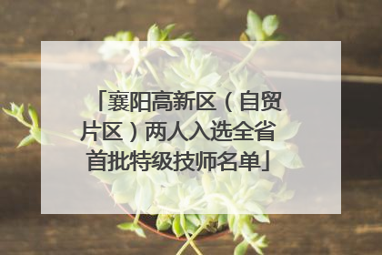 襄阳高新区（自贸片区）两人入选全省首批特级技师名单