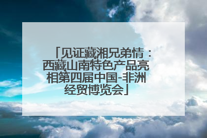 见证藏湘兄弟情：西藏山南特色产品亮相第四届中国-非洲经贸博览会
