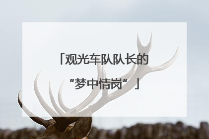 观光车队队长的“梦中情岗”