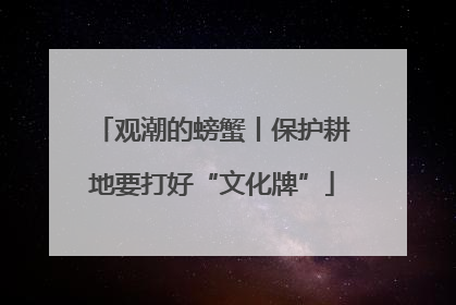 观潮的螃蟹丨保护耕地要打好“文化牌”