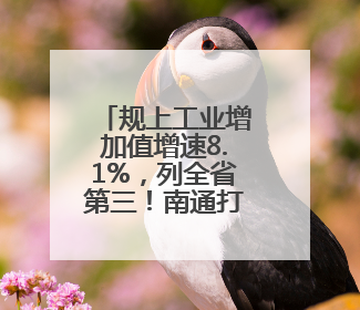 规上工业增加值增速8.1%，列全省第三！南通打造现代工业名城持续加力