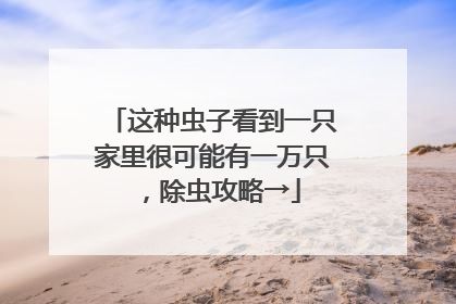 这种虫子看到一只家里很可能有一万只，除虫攻略→