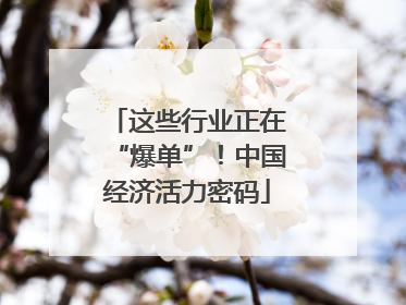 这些行业正在“爆单”！中国经济活力密码