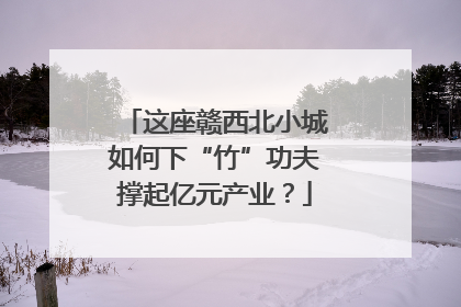 这座赣西北小城如何下“竹”功夫撑起亿元产业？