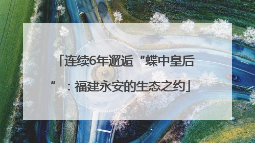 连续6年邂逅“蝶中皇后”：福建永安的生态之约