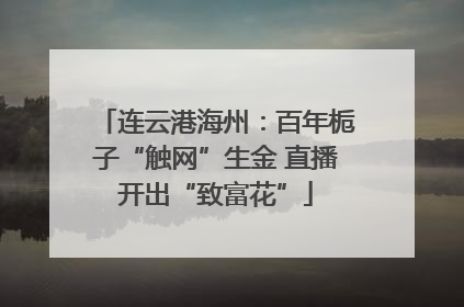 连云港海州：百年栀子“触网”生金 直播开出“致富花”