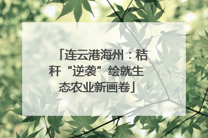 连云港海州：秸秆“逆袭”绘就生态农业新画卷