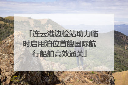 连云港边检站助力临时启用泊位首艘国际航行船舶高效通关