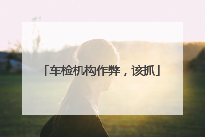 车检机构作弊，该抓