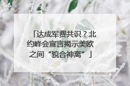 达成军费共识？北约峰会宣言揭示美欧之间“貌合神离”