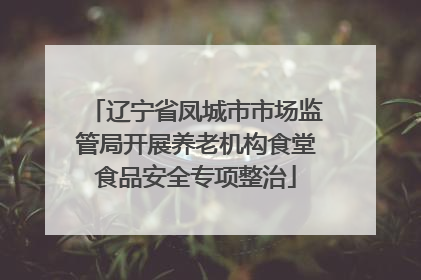 辽宁省凤城市市场监管局开展养老机构食堂食品安全专项整治