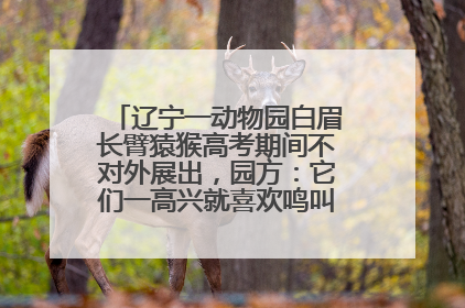 辽宁一动物园白眉长臂猿猴高考期间不对外展出，园方：它们一高兴就喜欢鸣叫，怕影响考试