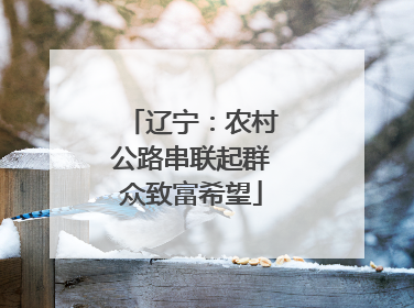 辽宁：农村公路串联起群众致富希望