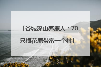 谷城深山养鹿人：70只梅花鹿带富一个村