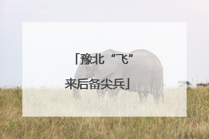 豫北“飞”来后备尖兵